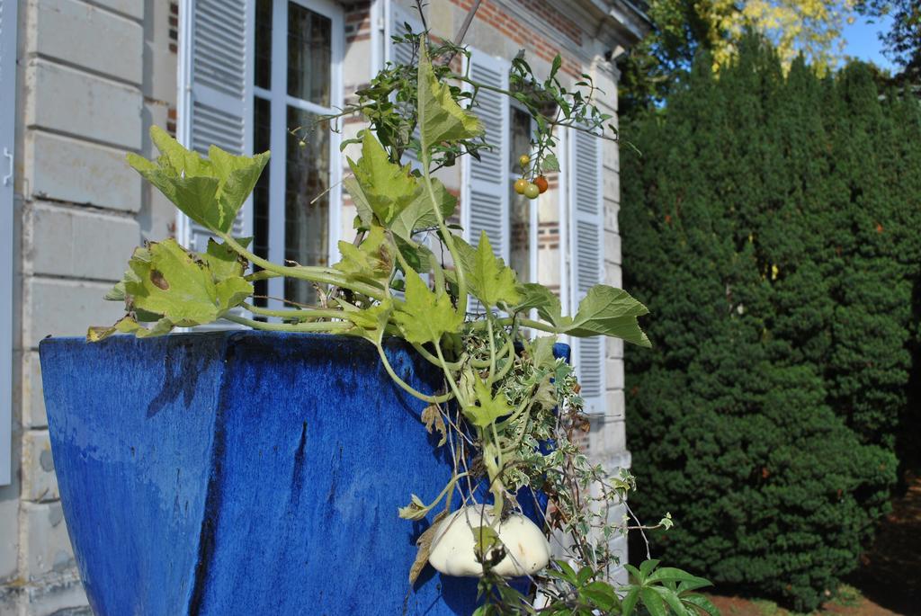 Gîte du Château de la Gavolerie Bessé-sur-Braye Exterior foto